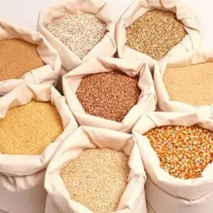 Animal Feed